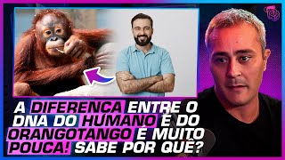 COMO ACONTECEU A EVOLUÇÃO HUMANA  PAULO JUBILUT [upl. by Elrak]