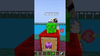 Minecraft Ale zgadnij jaki to youtuber minecraft shorts [upl. by Leikeze]