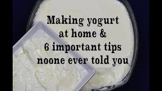 Homemade Yogurt Natural amp Plain 6 Tips Youve Never Heard Before [upl. by Woolley615]