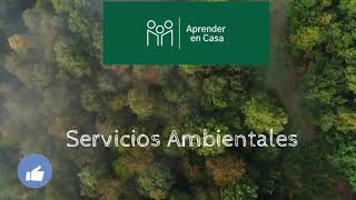 Servicios ambientales que proporcionan las regiones naturalesaprender en casa [upl. by Dream941]