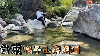 遠征台東深山！釣魚烤肉玩水一次滿足！石賓真的是超級多呀！ 乾隆皇釣魚趣 路亞 台東秘境 石賓 [upl. by Anivel402]