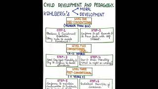 Kohlbergs theory of moral development  CDP  pstet2024 ctet2024 cdp shorts [upl. by Maury]