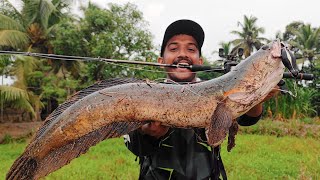 രാത്രിയായാൽ ഇതിനെ പേടിക്കണം 😳😱  Snakehead fishing  Traditional fishing  Village Fishing videos [upl. by Gnuy]