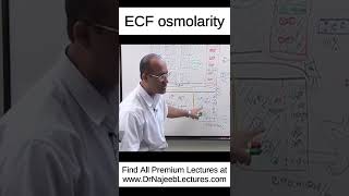 ECF osmolarity shortvideo shorts drnajeeb drnajeeblectures [upl. by Nairrot829]