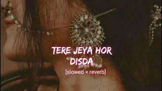 Tere Jeya Hor Disda  Madhur Sharma  Kiven Mukhde Ton Nazran Hatawan Slowed × Reverb Lofi  Music [upl. by Eanore]