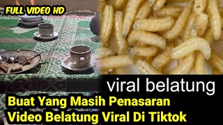 BELATUNG VIRAL DI TIKTOK VIDEO BELATUNG [upl. by Rhodie]