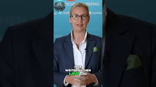 Alice Weidel  Stillstand im Parlament Wo bleibt die CDULösung [upl. by Otrebmuh]