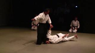 Melbourne 2012 Aikido Exhibition  Highlights Koussoulis Sensei amp Takeno Sensei [upl. by Ayatan547]