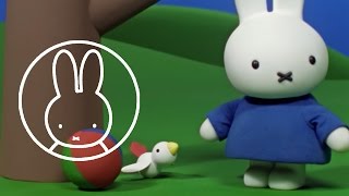 Miffy and the Little Bird • Miffy amp Friends [upl. by Buckingham]