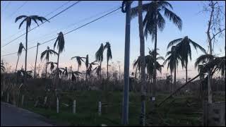 SUPER TYPHOON ODETTE HITS BOHOL  ROAD UPDATE SAGBAYAN  CARMEN  BILAR [upl. by Irt]