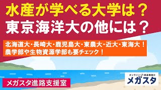 水産が学べる大学は？東京海洋大の他には？北海道大・長崎大・鹿児島大・東農大・近大・東海大！農学部や生物資源学部も要チェック！ [upl. by Giguere]