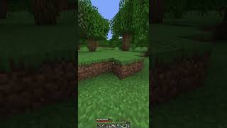 Bueno funciona al menos minecraft tutorial minecraftshorts humor humorviral broma [upl. by Norok]