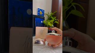 Cerruti 1881 perfume review 1881 cerruti fragnace unboxing [upl. by Ainer121]