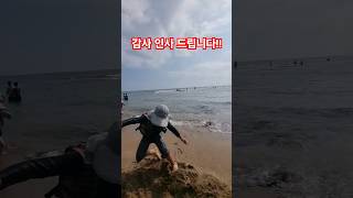 헉 레알 미룬이 사건 200느님 돌파 구독과좋아요 subscribe 구독자님들감사합니다 thanks 미룬이 딩딩딩 shorts [upl. by Eyr944]