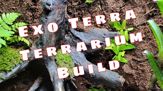 Exo Terra Terrarium step by step The Old Tree [upl. by Mariano]