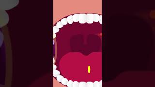 Mouth Cancer TNM Stages Explained What You Need to Know Must Watch [upl. by Llehcal]