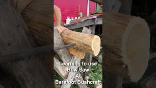 Learning to use a bow saw at Barefoot Bushcraft barefootbushcraft bowsaw homesteading survival [upl. by Cotter61]