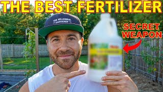 This Fertilizer Is My SECRET WEAPON For A Healthy Productive Garden [upl. by Ynolem]