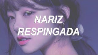 ❛ Nariz respingada ❜ ⸺ 𝐚𝐮𝐝𝐢𝐨 𝐬𝐮𝐛𝐥𝐢𝐦𝐢𝐧𝐚𝐥 [upl. by Marentic]