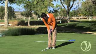 Putting Tip  The Push Drill [upl. by Rosalyn]