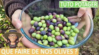 Comment faire et conserver ses OLIVES VERTES OU NOIRES [upl. by Sokim]