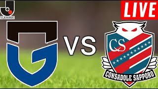 Gamba Osaka vs Hokkaido Consadole Sapporo Live Score l Japan J1 League 2024 [upl. by Knobloch]