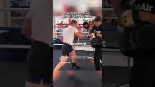 Canelo Pad Work caneloalvarez boxeo méxico ringside russia canelo london india boxer 1m [upl. by Gredel]