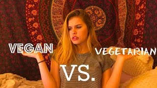 Vegan vs Vegetarian Whats The Difference [upl. by Dupuis48]