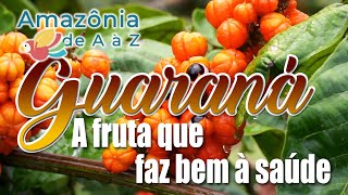 Os benefícios do guaraná para saúde  Amazônia de AaZ [upl. by Minette]