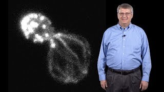 David Drubin UC Berkeley 4 Actin assembly in budding yeast [upl. by Eenram]