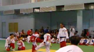 sikaran vs taekwondo [upl. by Editha]