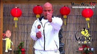 wing chun basics  How to do basic punches Lesson 2 [upl. by Milena909]