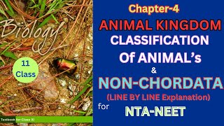 Class 11 Animal kingdom NonChordatesncertbiology Harunbiozone [upl. by Madelle196]