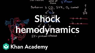 Hemodynamics Disorders Thromboembolic Disease And Shock Part 2  Dr Esgana [upl. by Erle790]