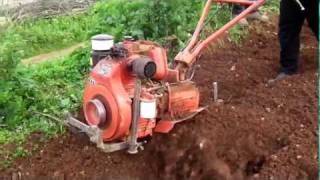 Ruggerini RD81 Rotovator  10HP [upl. by Fortin]