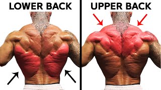 These are the 8 Biggest Back Exercises You Need to Know [upl. by Bust]