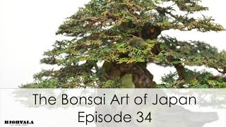 The Bonsai Art of Japan  Episode 34 [upl. by Dreeda]