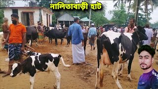 বৃষ্টির দিনে গাভী বাচ্চার দাম কেমন চাচ্ছে ll পাহাড়ি হাট নালিতাবাড়ী [upl. by Mimi]