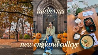 midterms season study vlog 📚 fall views poetry cafes ballet class [upl. by Lubba]