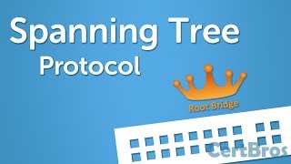 Spanning Tree Protocol Explained  Step by Step [upl. by Arakawa]