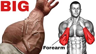 Top 7 Best Forearm Exercises to Make Big Forearms  ree workout [upl. by Minardi771]