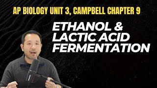 AP Biology Anaerobic Cell Respiration Fermentation Chapter 9 on Campbell Biology [upl. by Azmuh]