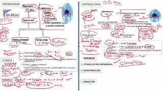 6 HIPERKALEMIA [upl. by Pirri42]