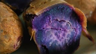 BATATA DOCE ROXA de Okinawa Antioxidantes e Nutrientes Incríveis 🍠💜 [upl. by Vorfeld]