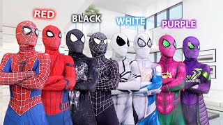 PRO 6 SpiderMan Bros vs ALL Color Day Compilation  1 Hour by FLife TV [upl. by Yraunaj994]