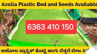 Azolla farming in karnataka  ಕರ್ನಾಟಕದಲ್ಲಿ ಅಜೋಲಾ ಕೃಷಿ6363410150 [upl. by Rento645]