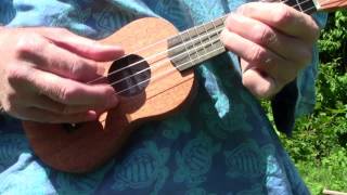 Tom Sopranino Pocket Ukulele Review [upl. by Nodyl]