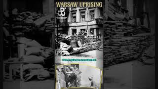 Warsaw Uprising 14 September 1944 Slaughter of civilians [upl. by Mariken331]