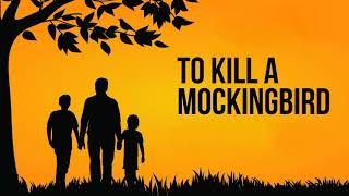 To Kill A Mockingbird Audiobook Complete Chapter 25 [upl. by Kilbride]