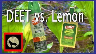 Best Mosquito Repellent  Actual in the field Battle Off with DEET vs Cutters Lemon Eucalyptus [upl. by Kauffman]